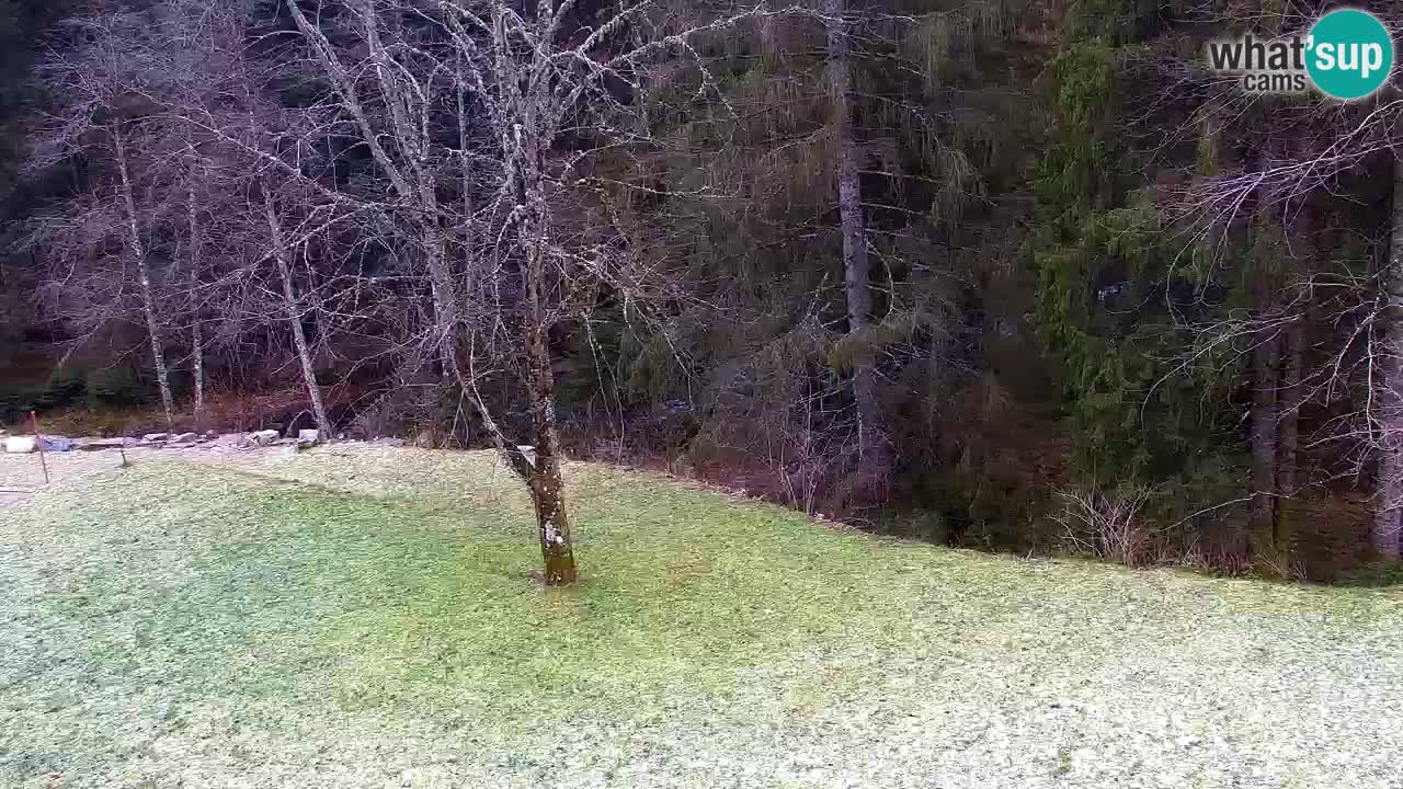 Webcam Lukanja – Pohorje houses a Water village