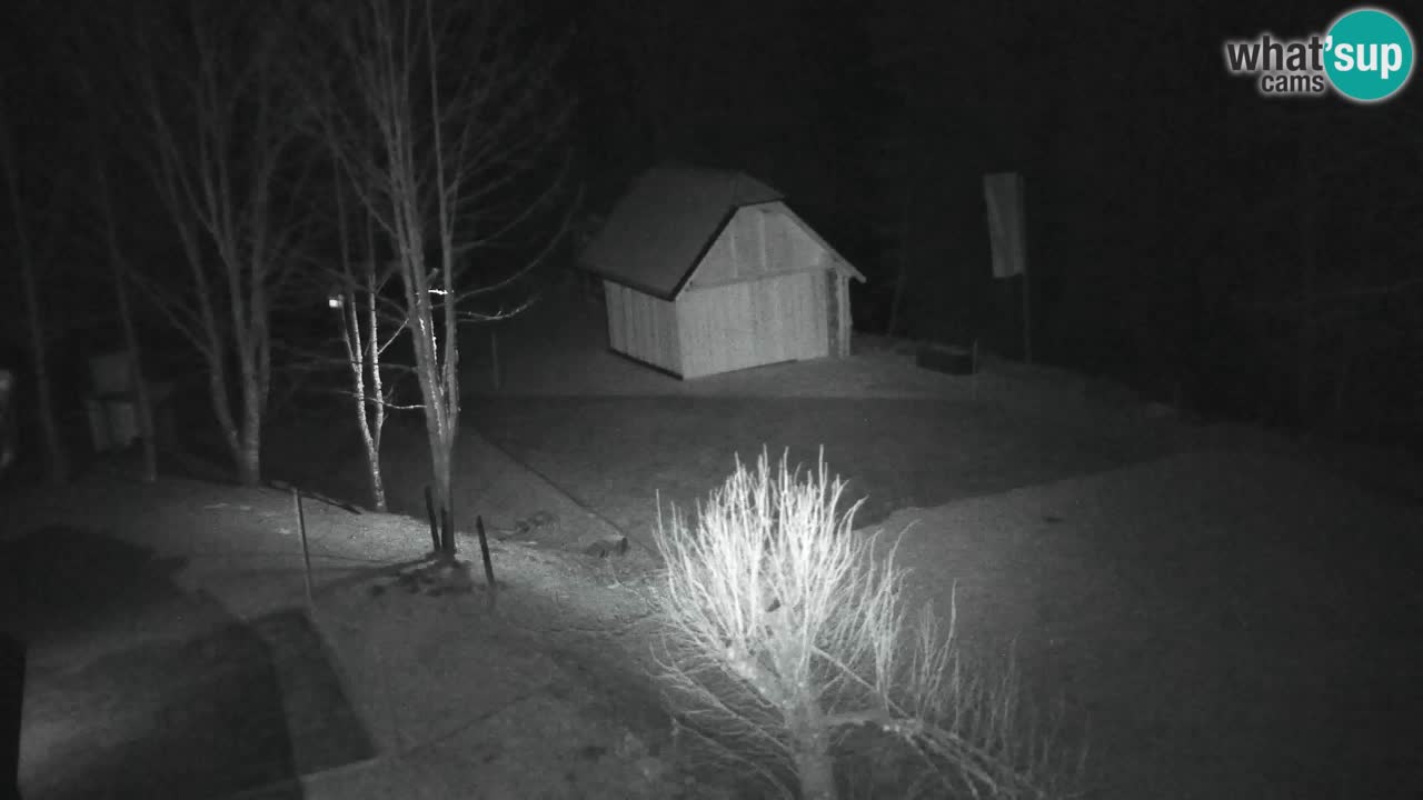 Webcam Lukanja – Pohorje houses a Water village