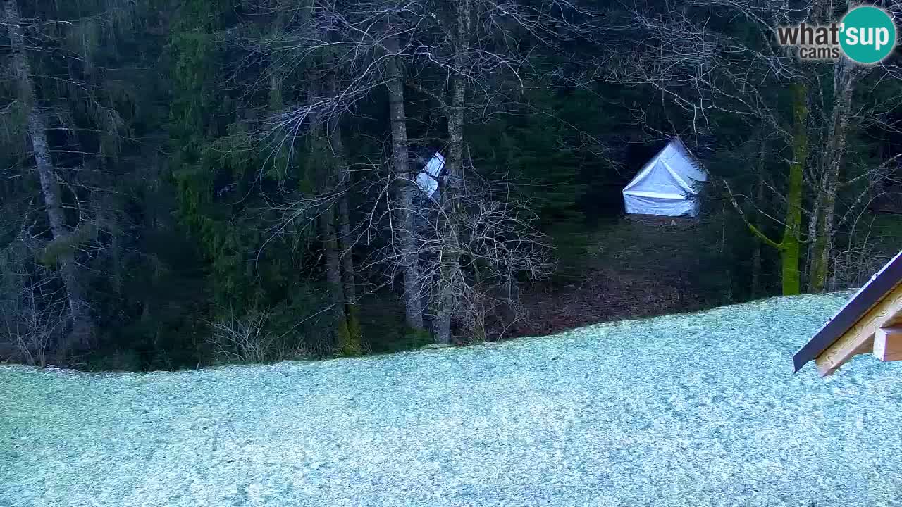 Webcam Lukanja – Water Village | Pohorje Houses