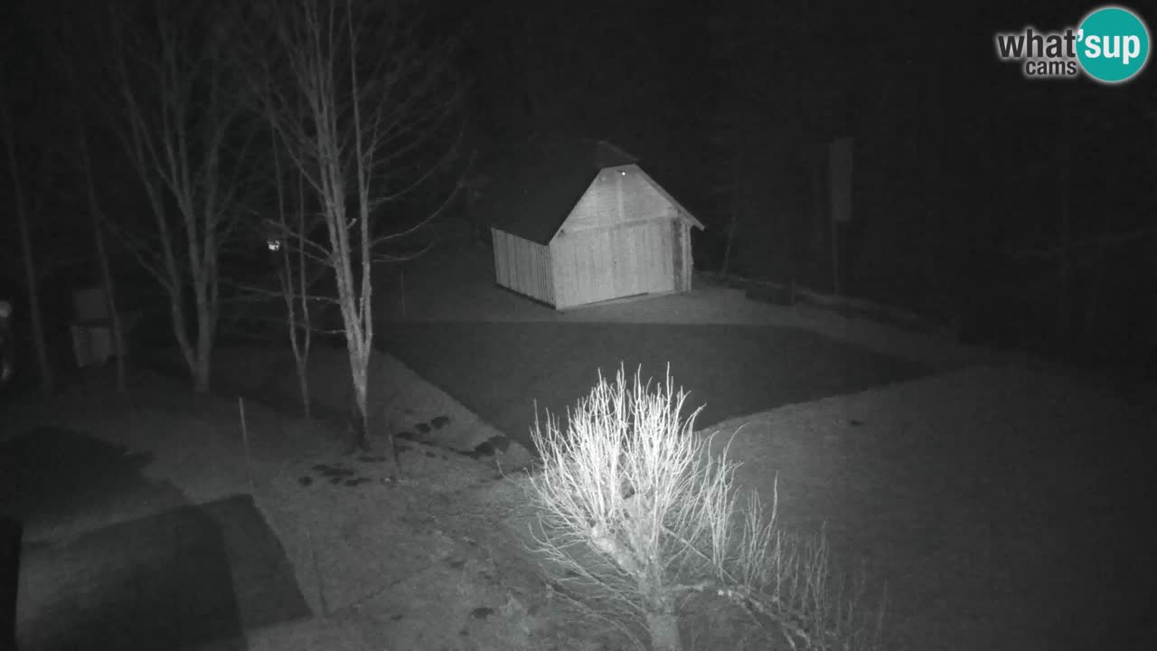 Webcam Lukanja – Pohorje houses a Water village