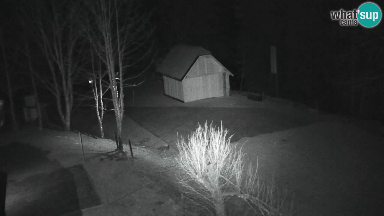 Webcam Lukanja – Pohorje houses a Water village