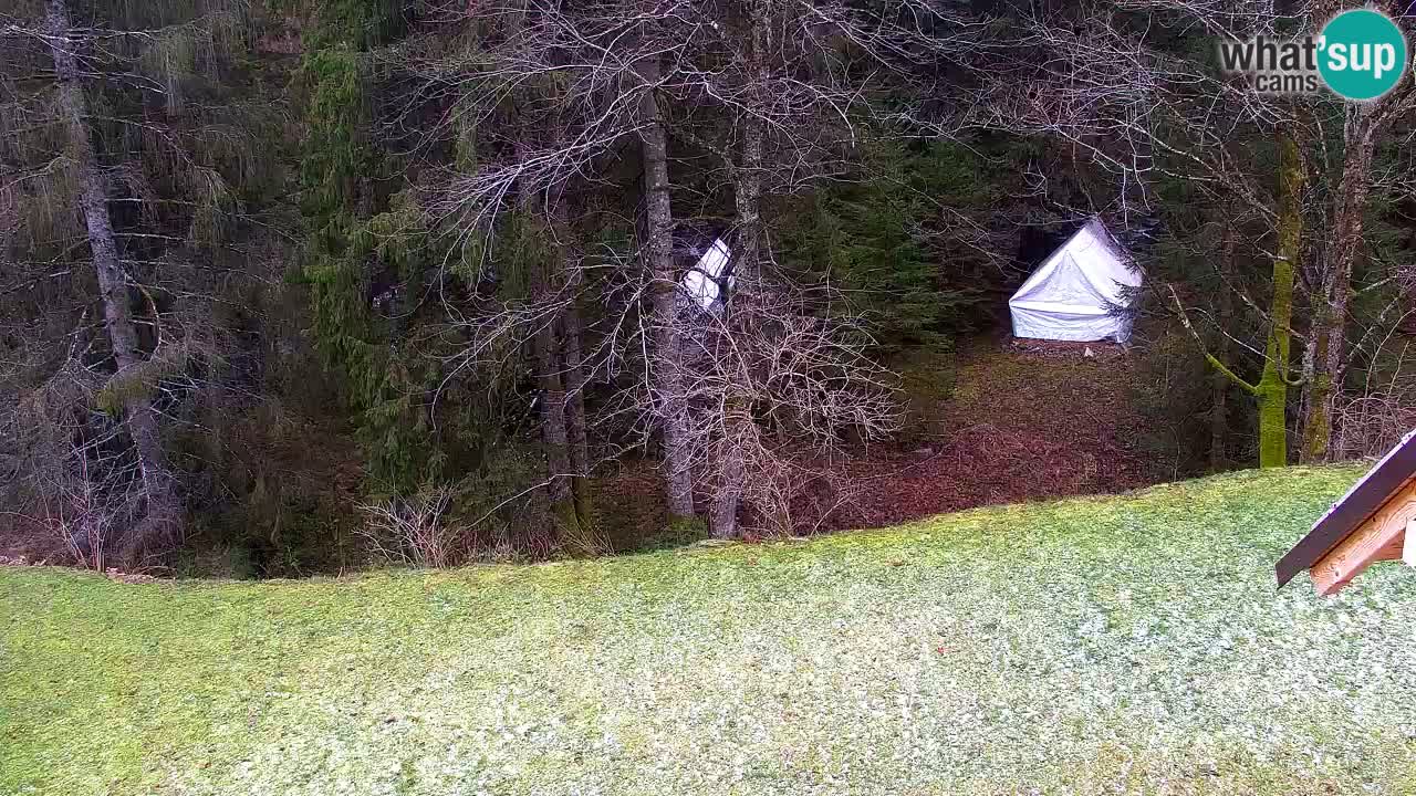 Webcam Lukanja – Water Village | Pohorje Houses