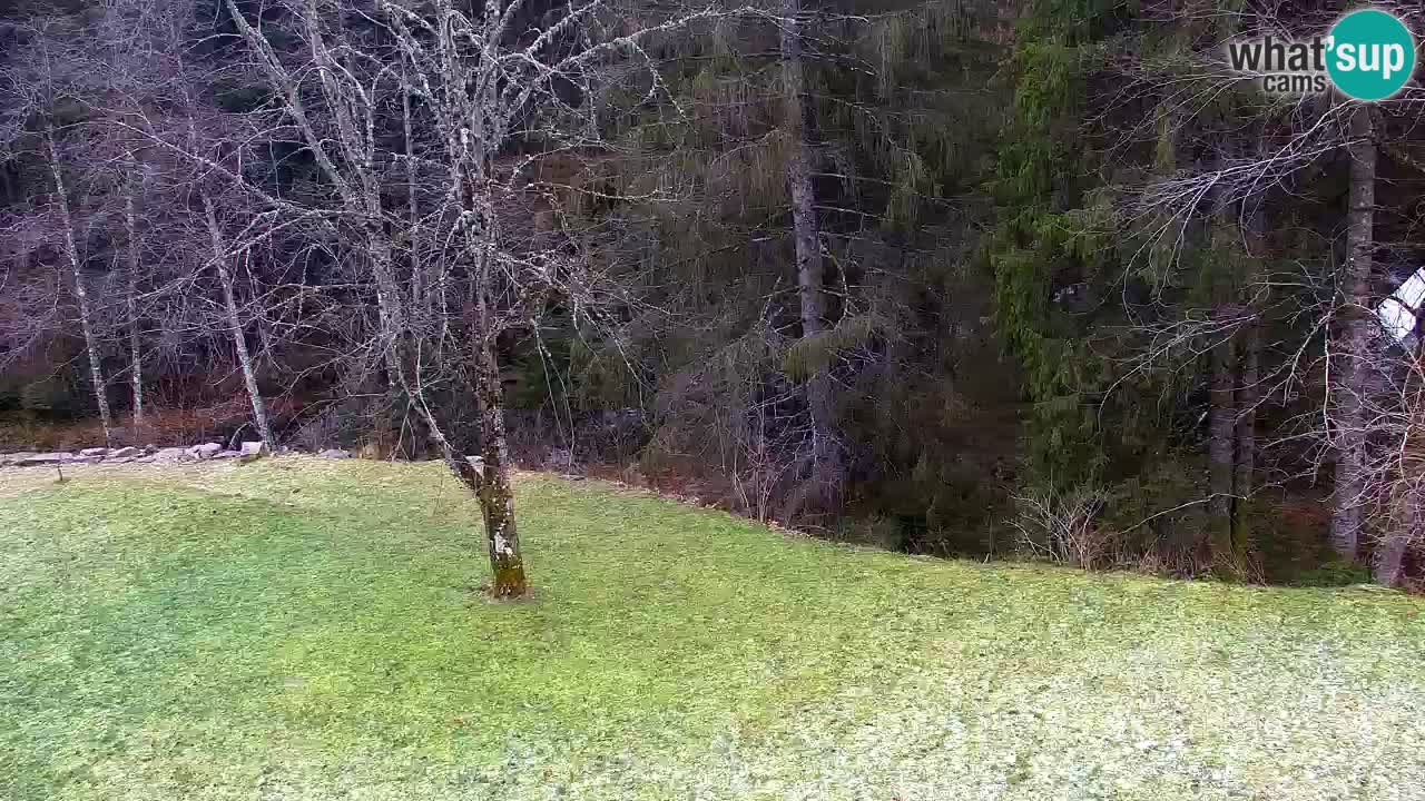 Webcam Lukanja – Pohorje houses a Water village