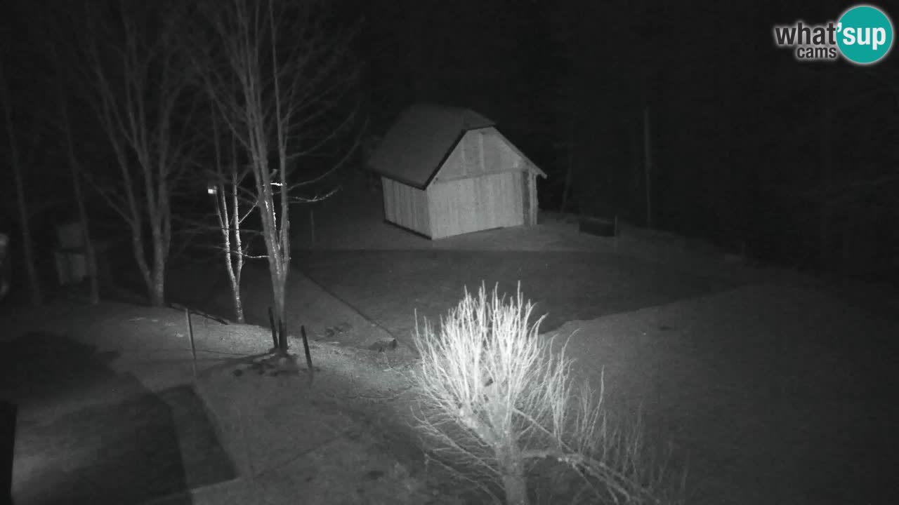 Webcam Lukanja – Pohorje houses a Water village