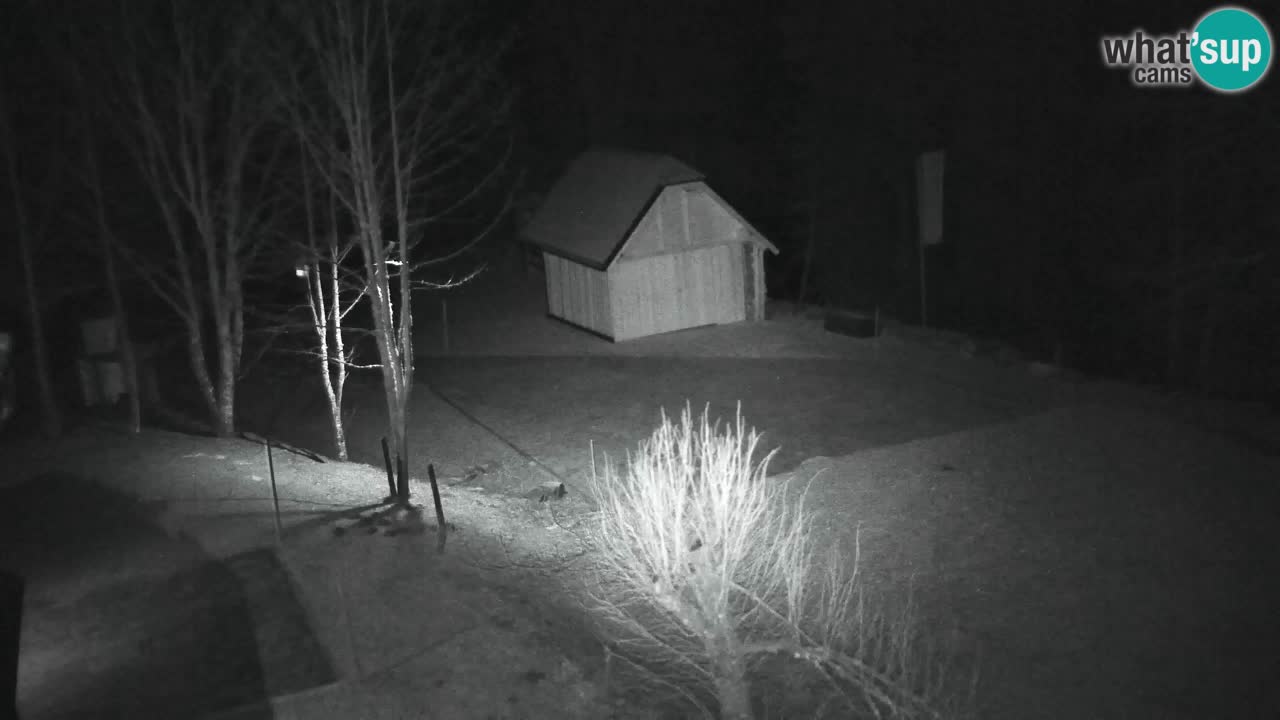 Webcam Lukanja – Pohorje houses a Water village