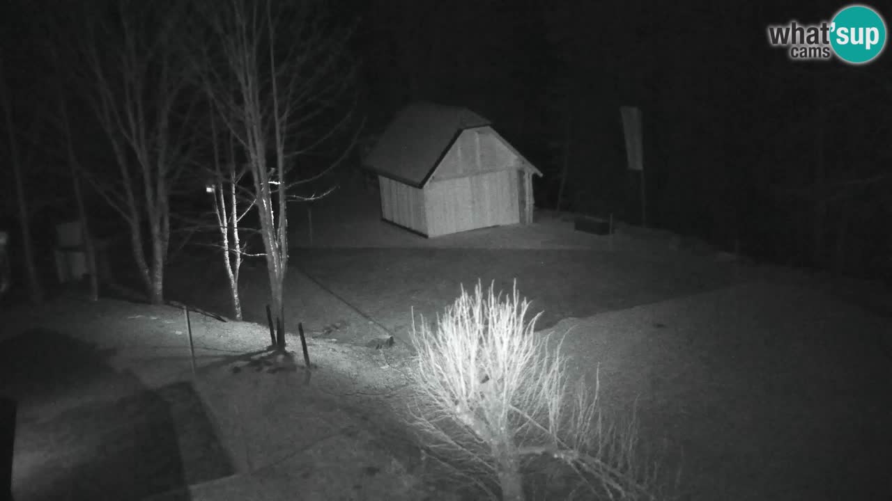 Webcam Lukanja – Water Village | Pohorje Houses