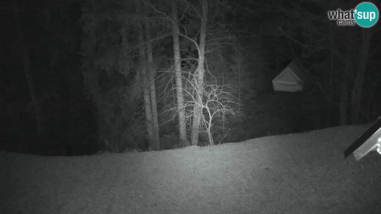 Webcam Lukanja – Pohorje houses a Water village