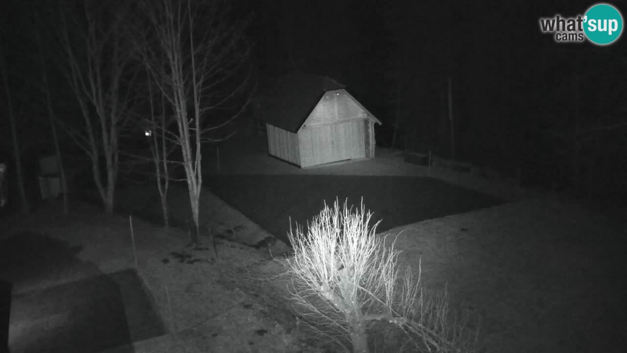 Webcam Lukanja – Water Village | Pohorje Houses