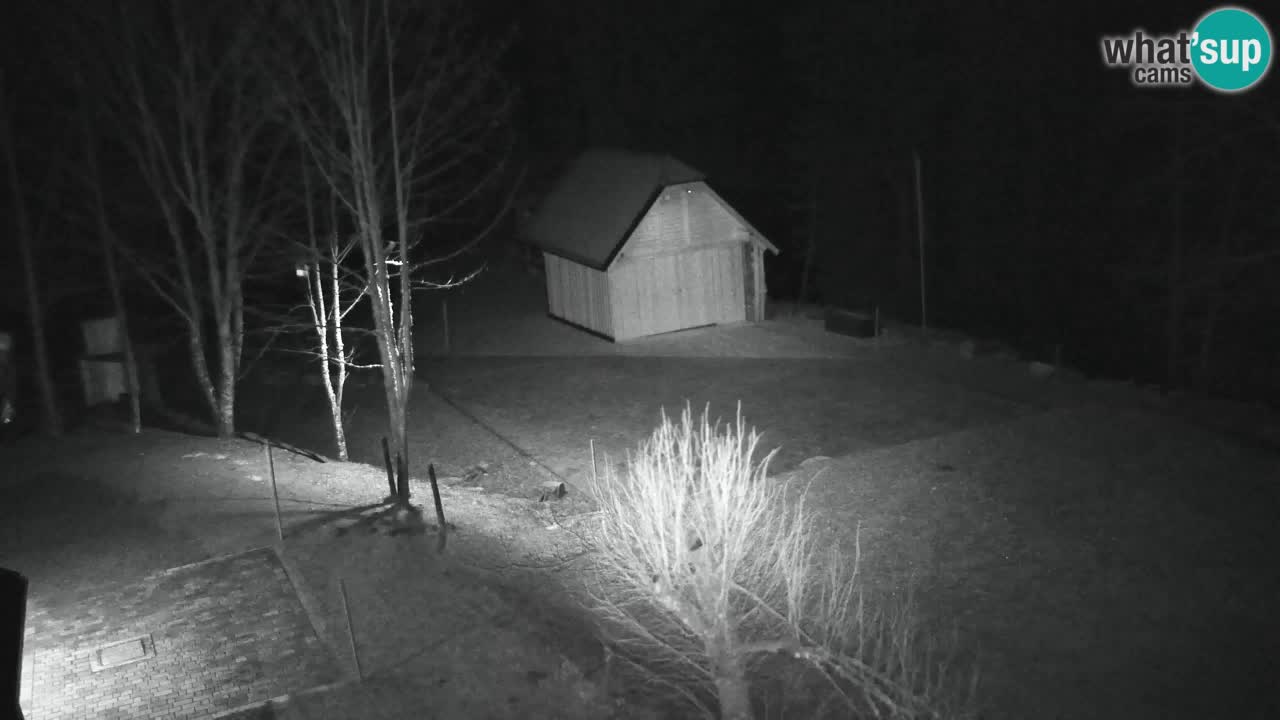 Webcam Lukanja – Water Village | Pohorje Houses