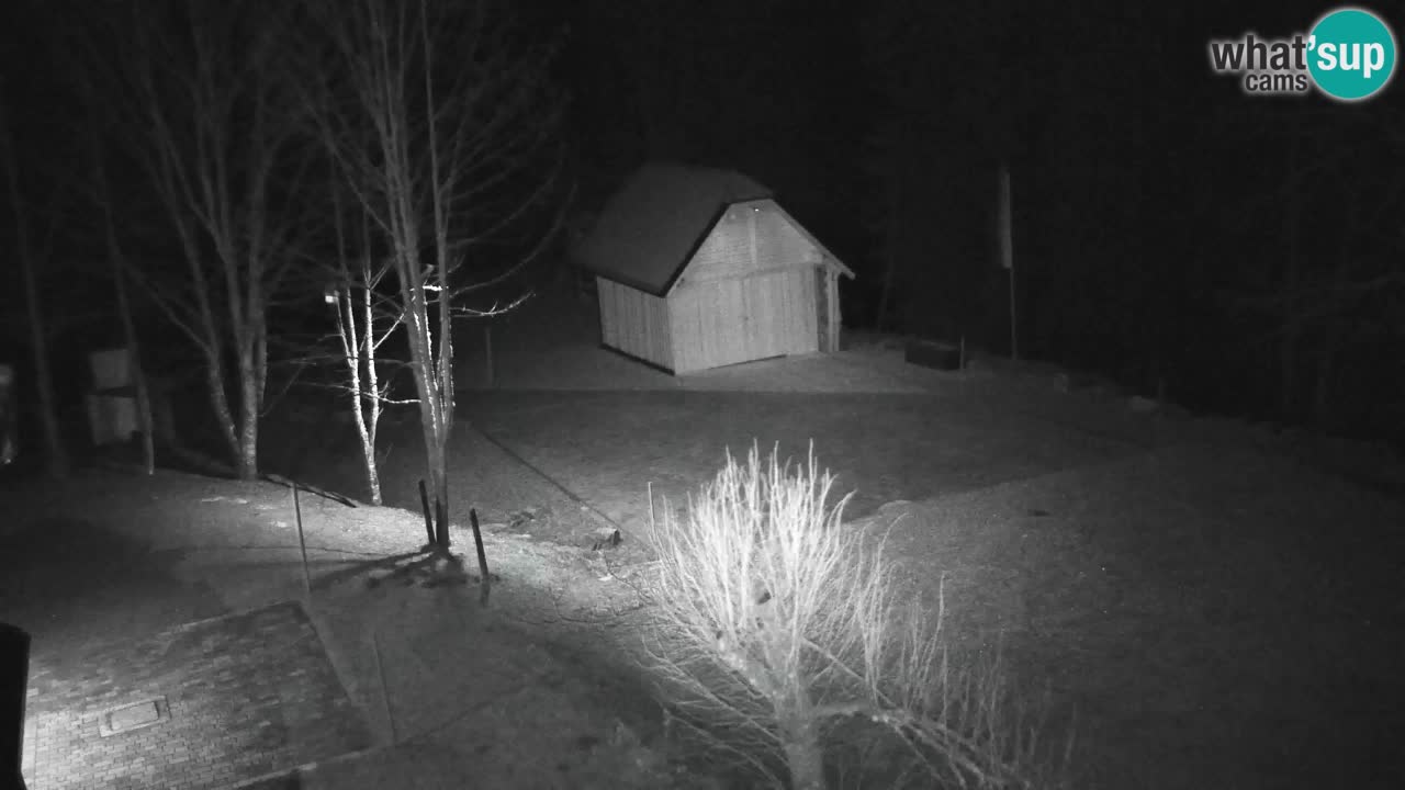 Webcam Lukanja – Water Village | Pohorje Houses