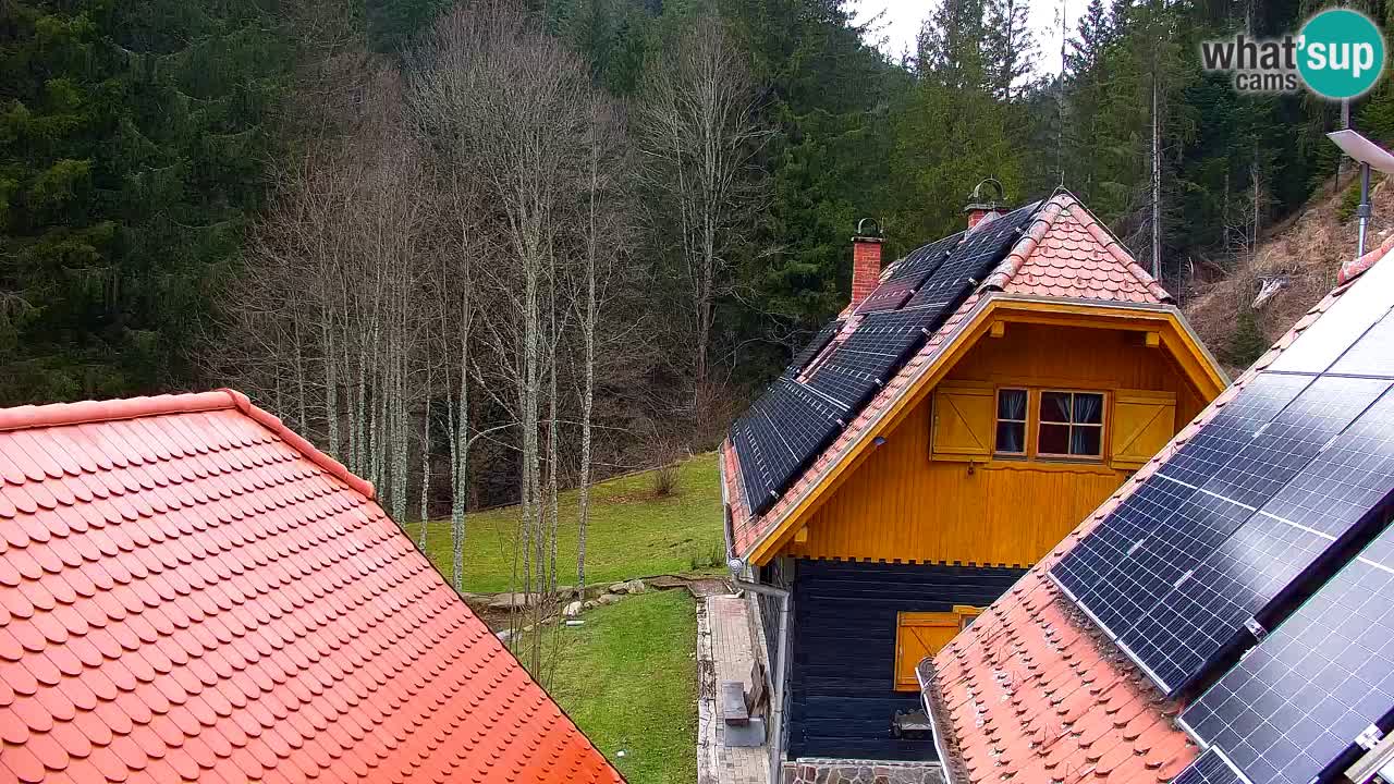 Web kamera Lukanja – Water Village | Pohorje Houses
