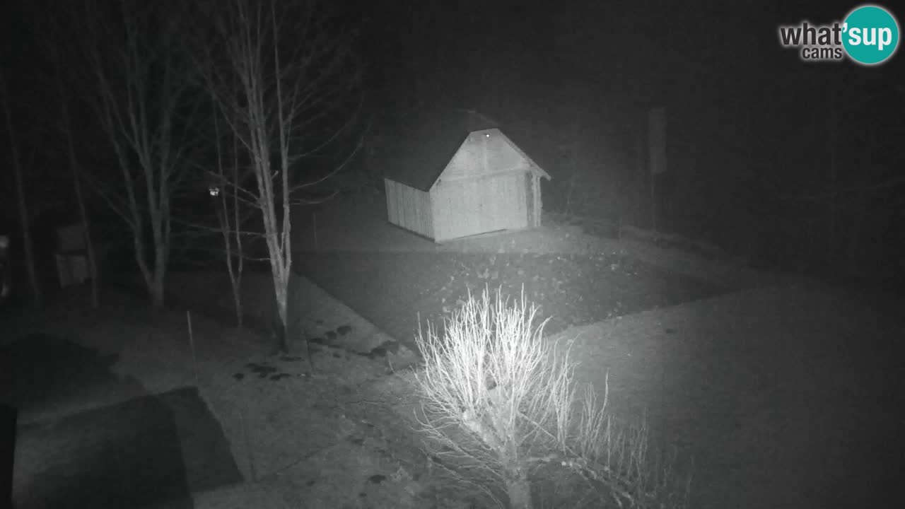 Webcam Lukanja – Pohorje houses a Water village