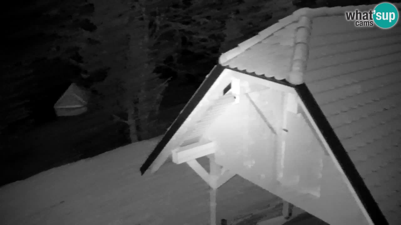 Webcam Lukanja – Pohorje houses a Water village