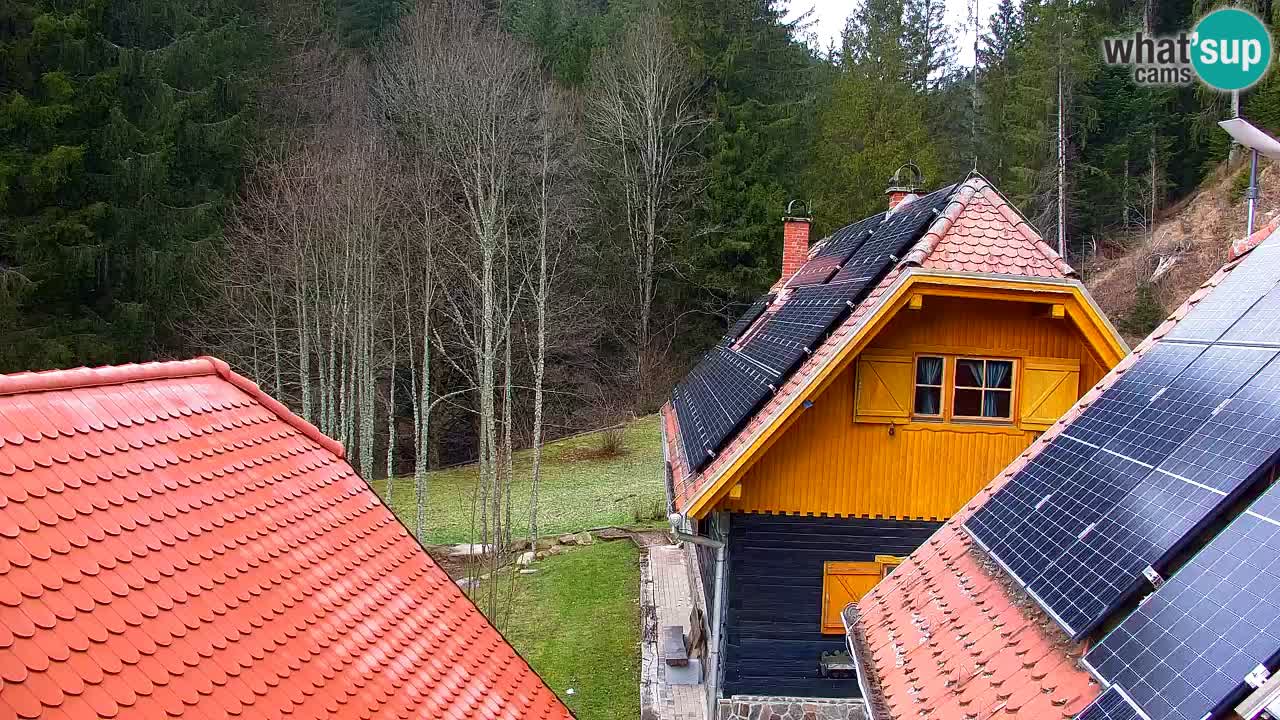 Webcam Lukanja – Water Village | Pohorje Houses