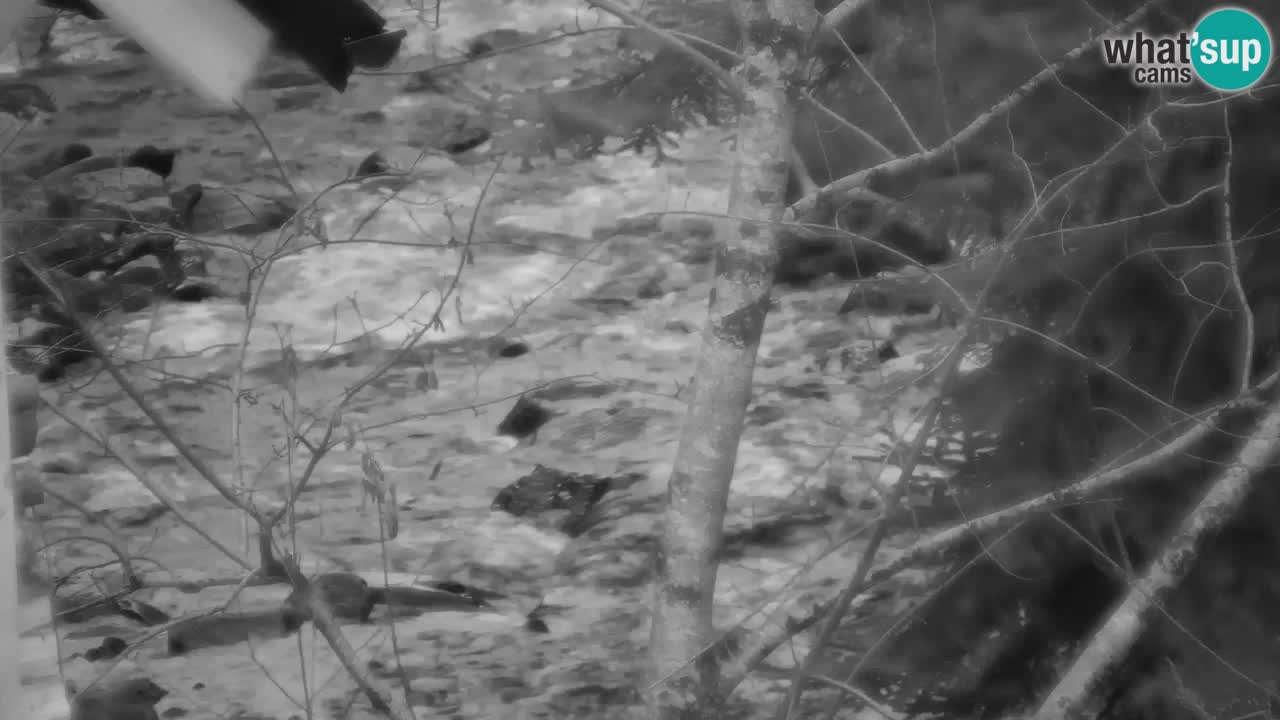 Webcam Lukanja – Water Village | Pohorje Houses