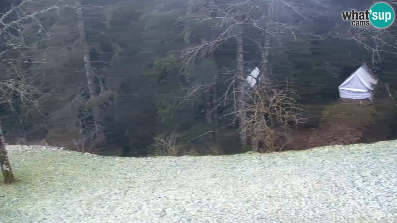 Webcam Lukanja – Pohorje houses a Water village