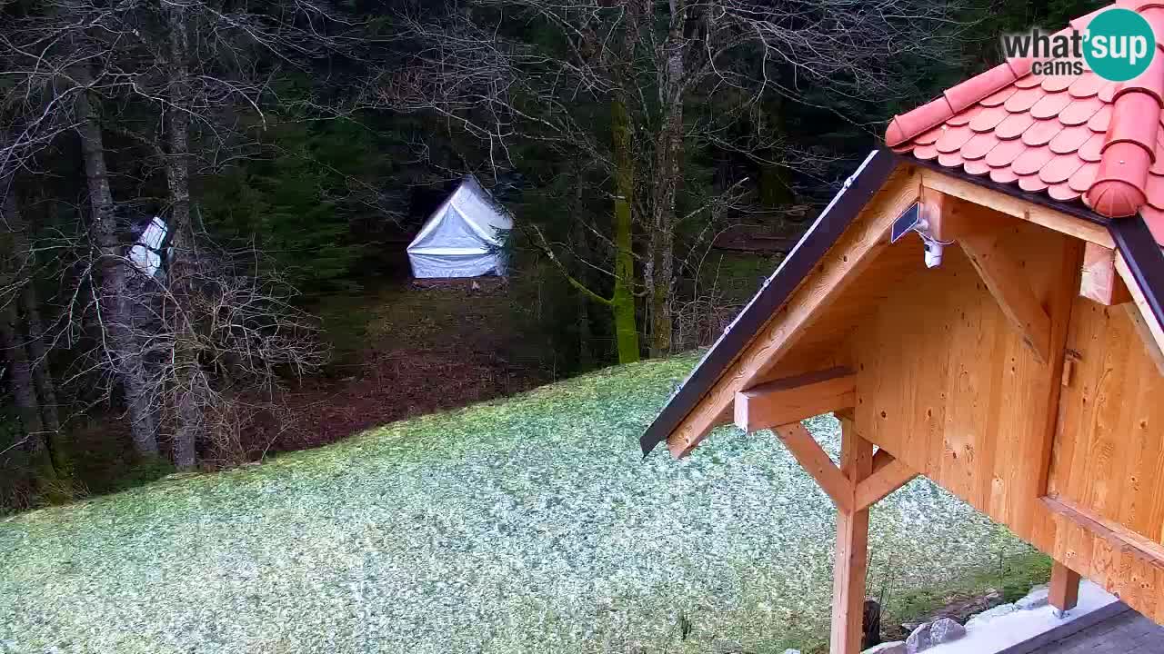 Webcam Lukanja – Pohorje houses a Water village