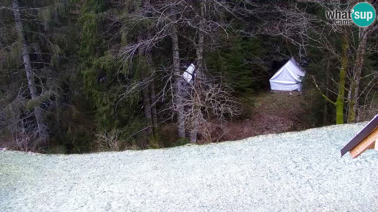 Webcam Lukanja – Water Village | Pohorje Houses