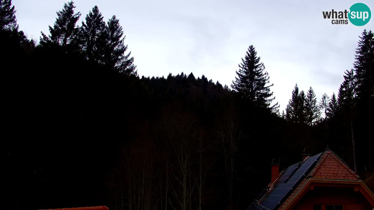 Webcam Lukanja – Pohorje houses a Water village