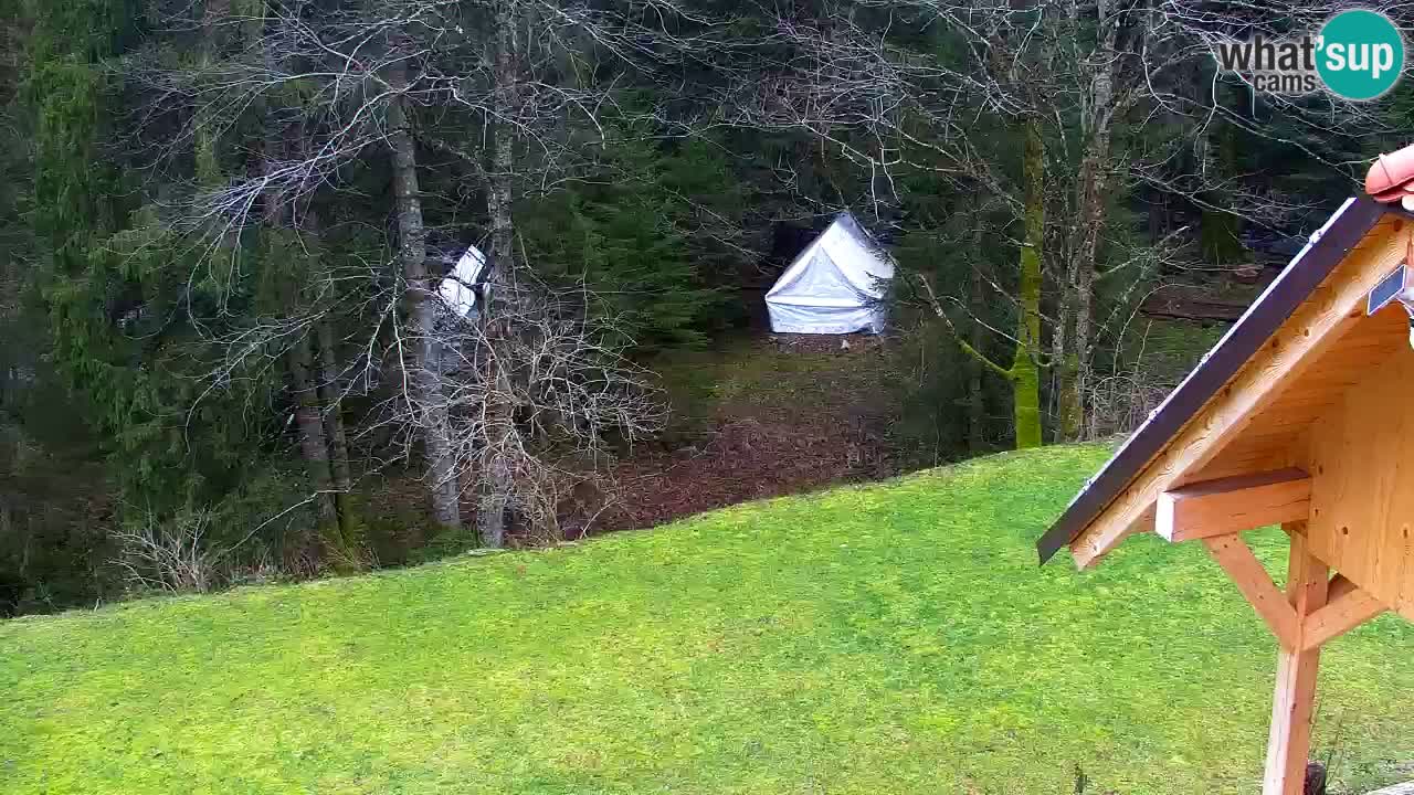 Webcam Lukanja – Pohorje houses a Water village
