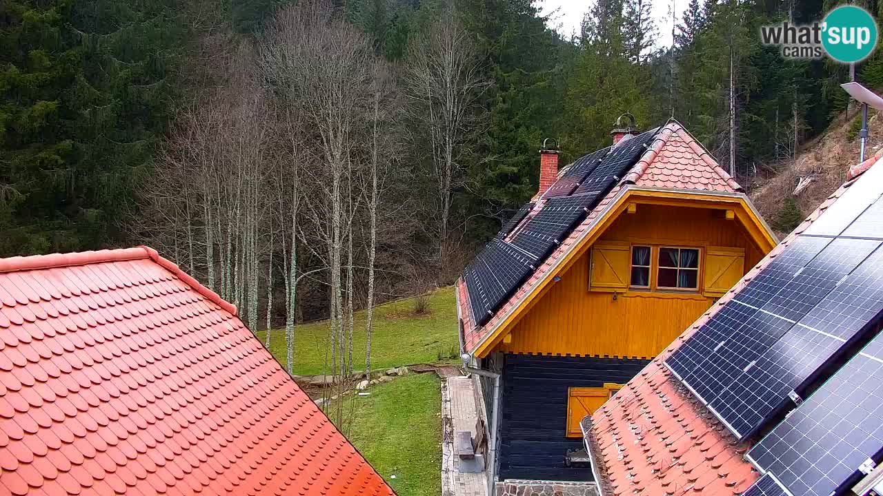 Spletna kamera Lukanja – Water Village | Pohorje Houses