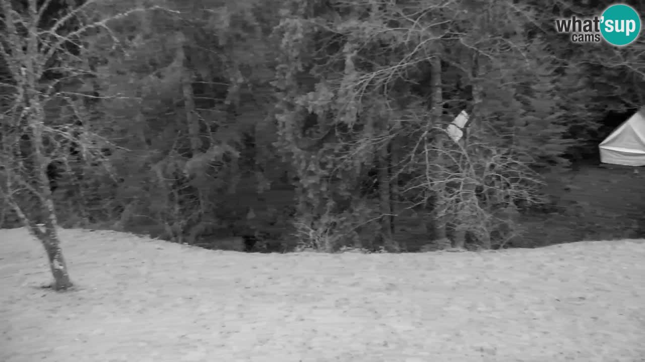 Webcam Lukanja – Water Village | Pohorje Houses