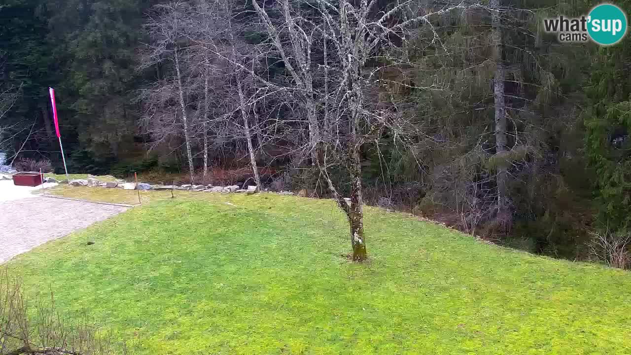 Spletna kamera Lukanja – Water Village | Pohorje Houses