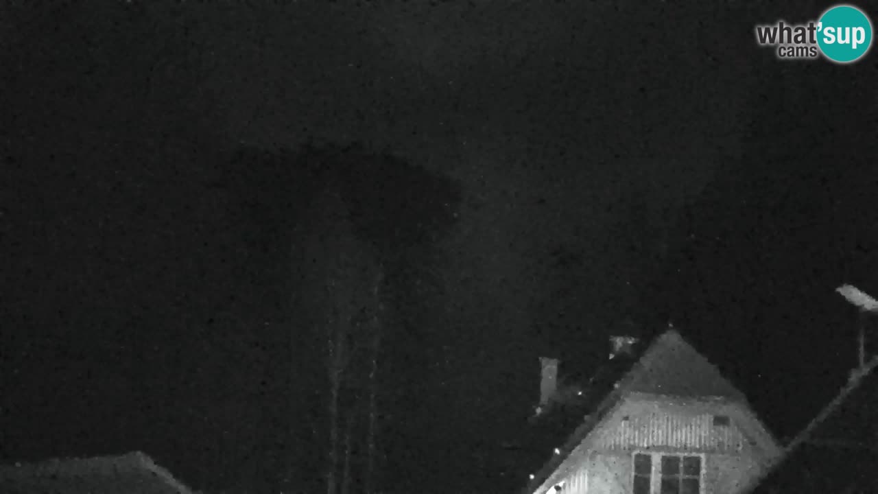 Webcam Lukanja – Pohorje houses a Water village