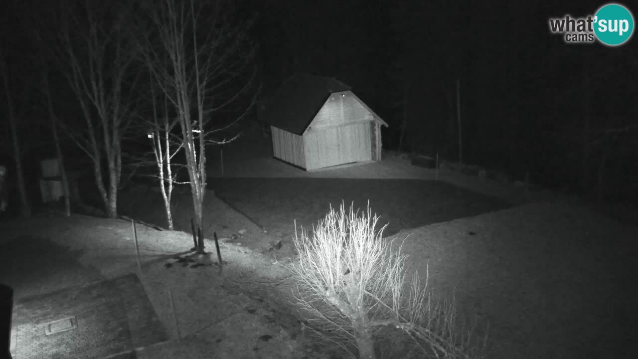 Webcam Lukanja – Pohorje houses a Water village