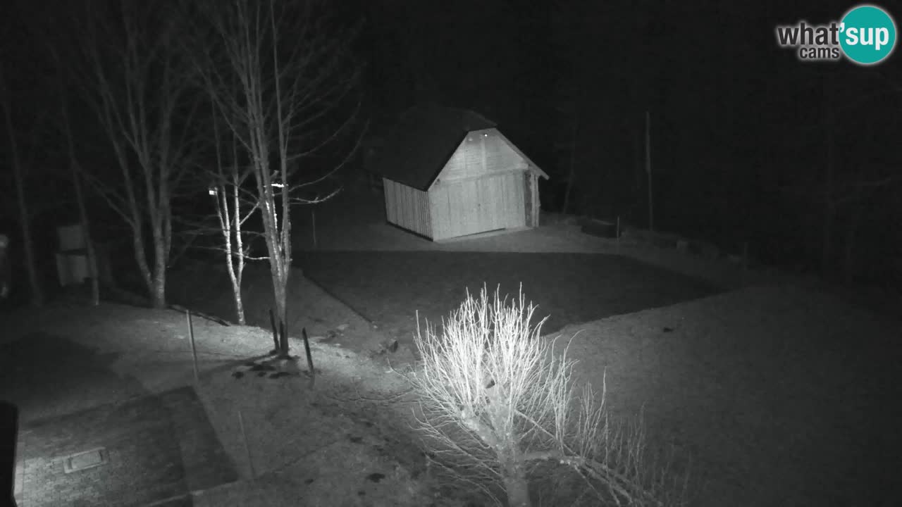 Webcam Lukanja – Pohorje houses a Water village