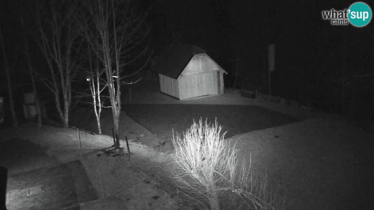 Spletna kamera Lukanja – Water Village | Pohorje Houses