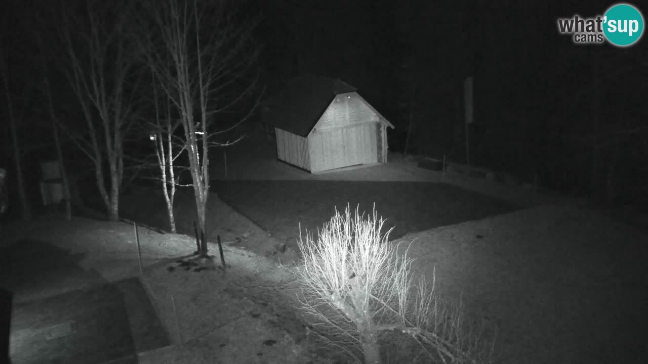 Webcam Lukanja – Pohorje houses a Water village