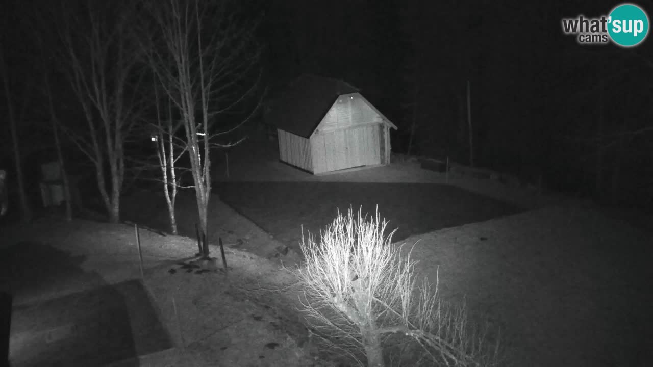 Webcam Lukanja – Pohorje houses a Water village