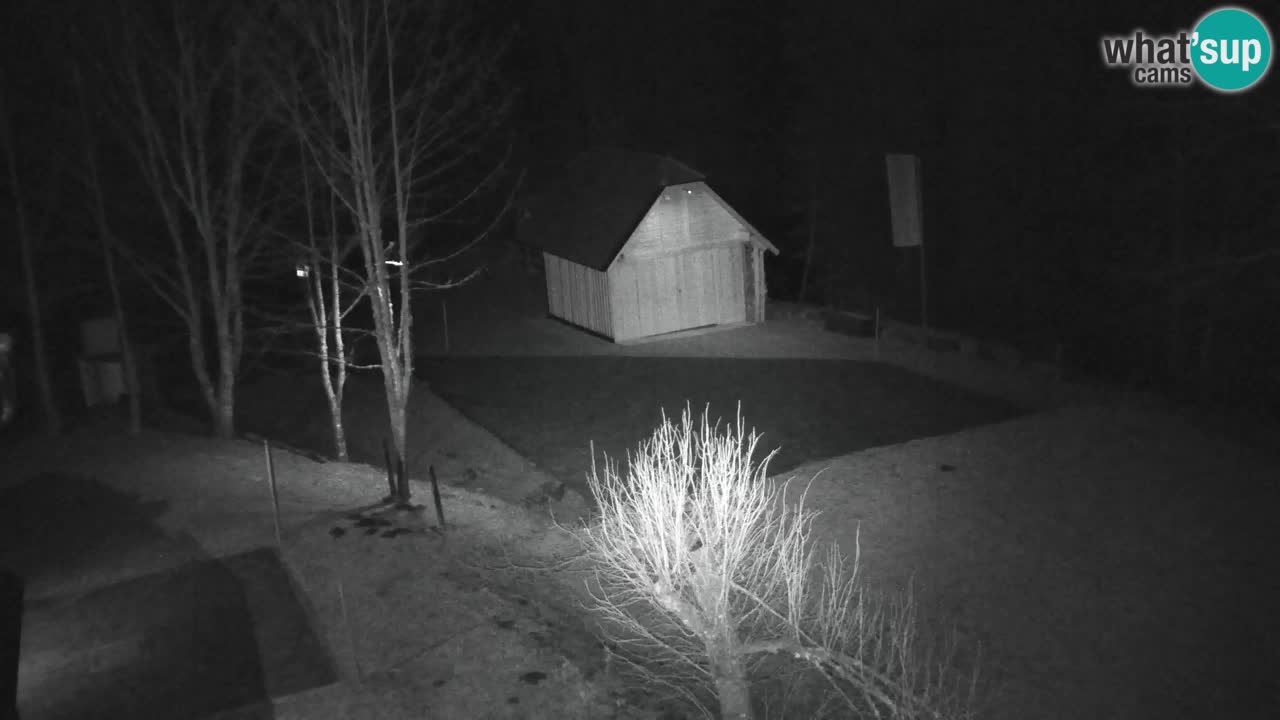 Webcam Lukanja – Pohorje houses a Water village