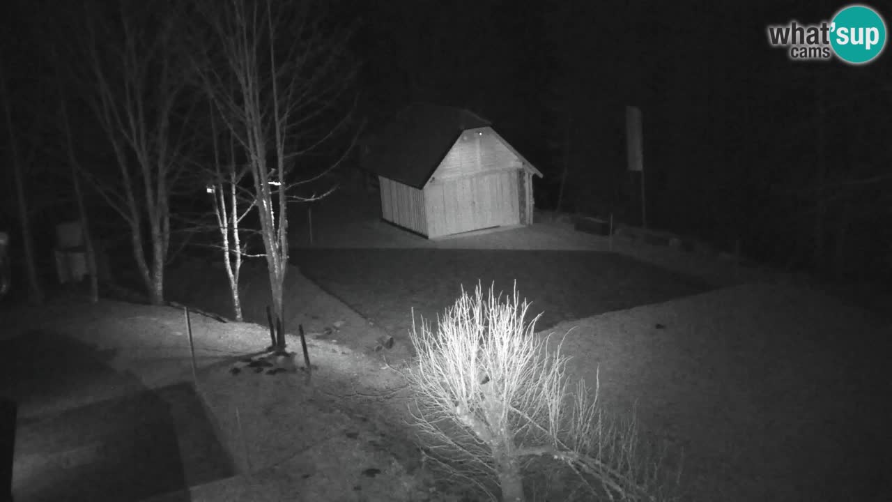 Webcam Lukanja – Water Village | Pohorje Houses