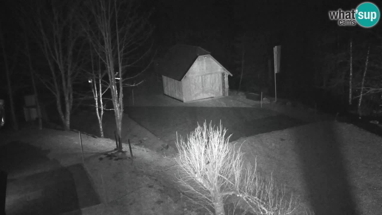 Webcam Lukanja – Water Village | Pohorje Houses