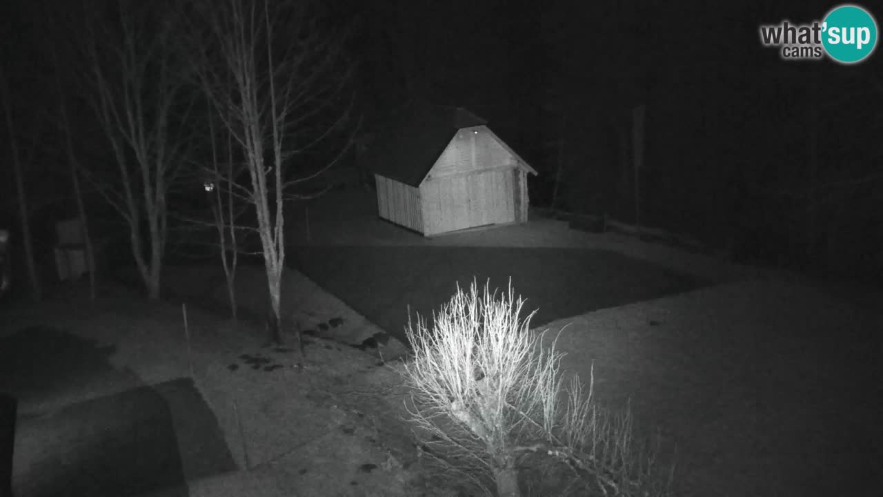 Webcam Lukanja – Pohorje houses a Water village