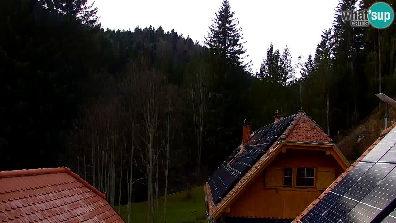 Web kamera Lukanja – Water Village | Pohorje Houses