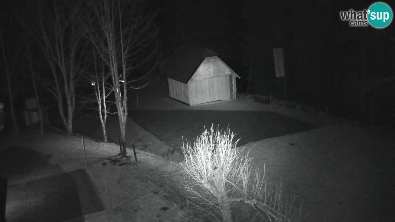 Webcam Lukanja – Water Village | Pohorje Houses