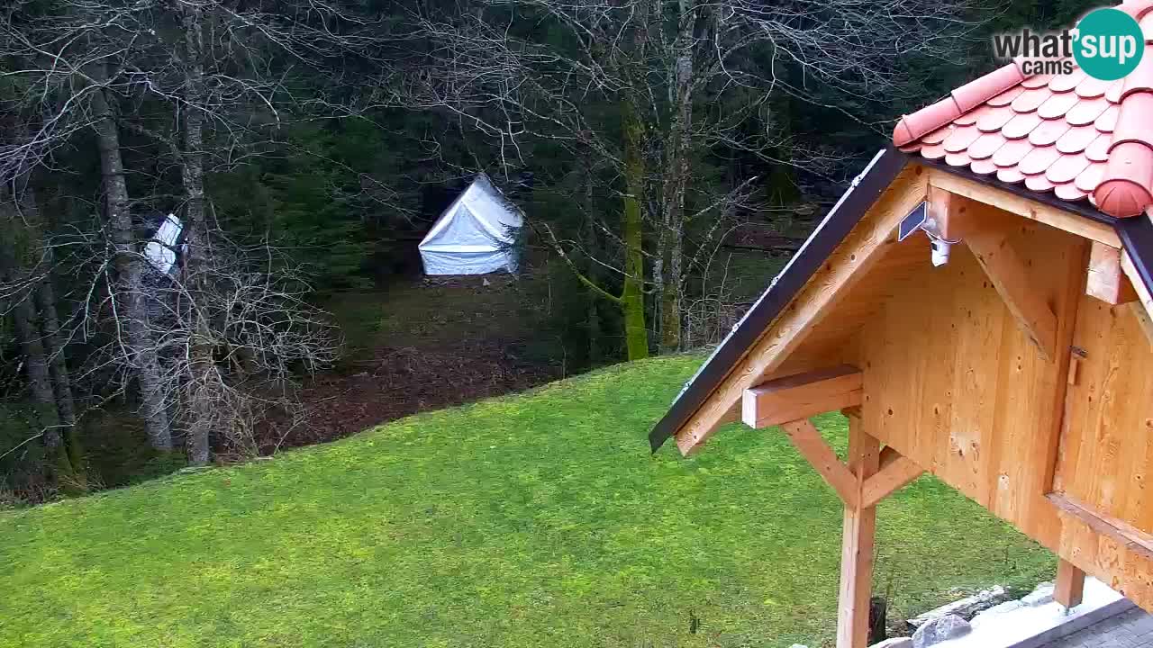 Webcam Lukanja – Water Village | Pohorje Houses