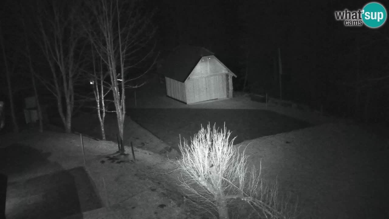 Web kamera Lukanja – Water Village | Pohorje Houses