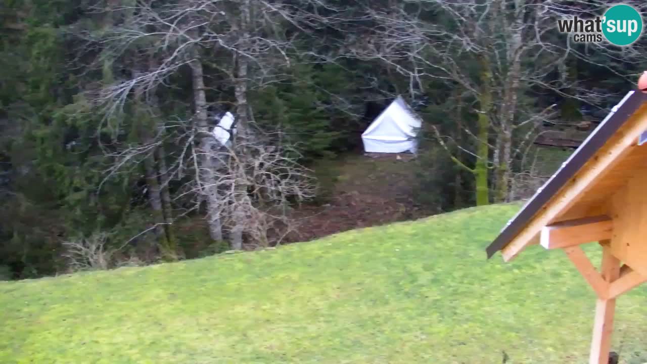 Spletna kamera Lukanja – Water Village | Pohorje Houses