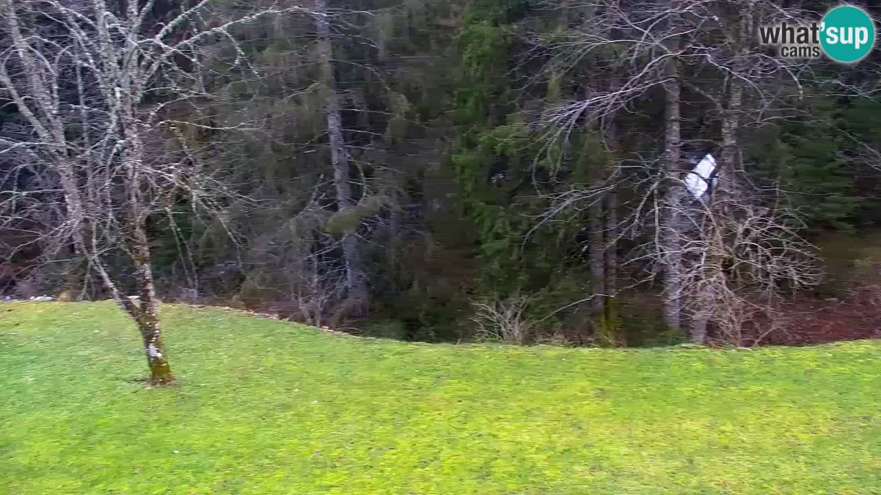 Webcam Lukanja – Water Village | Pohorje Houses