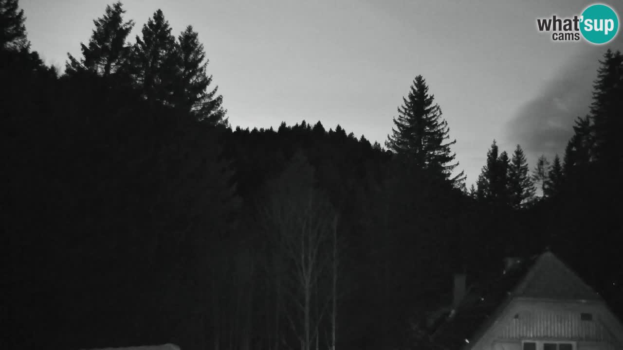 Spletna kamera Lukanja – Water Village | Pohorje Houses