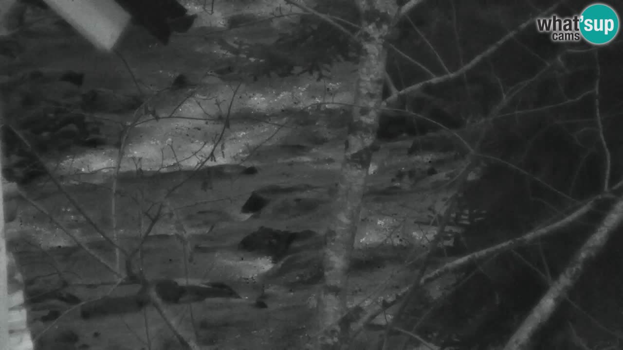 Webcam Lukanja – Pohorje houses a Water village