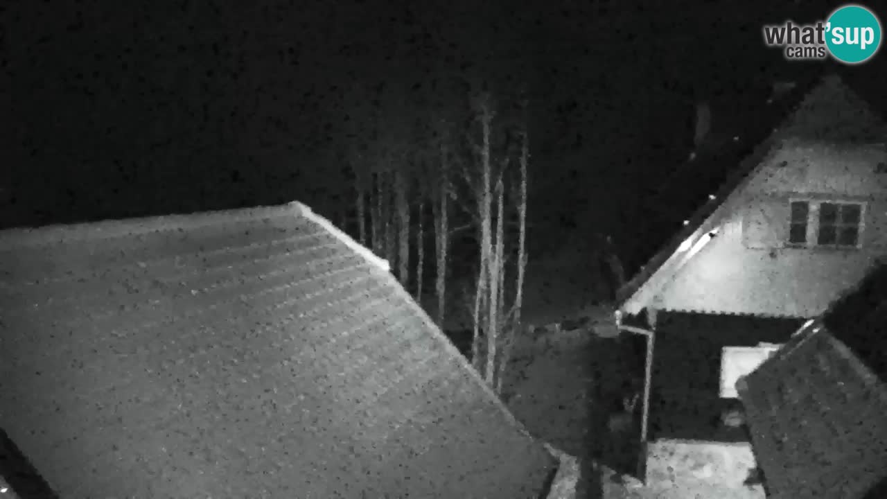 Webcam Lukanja – Pohorje houses a Water village