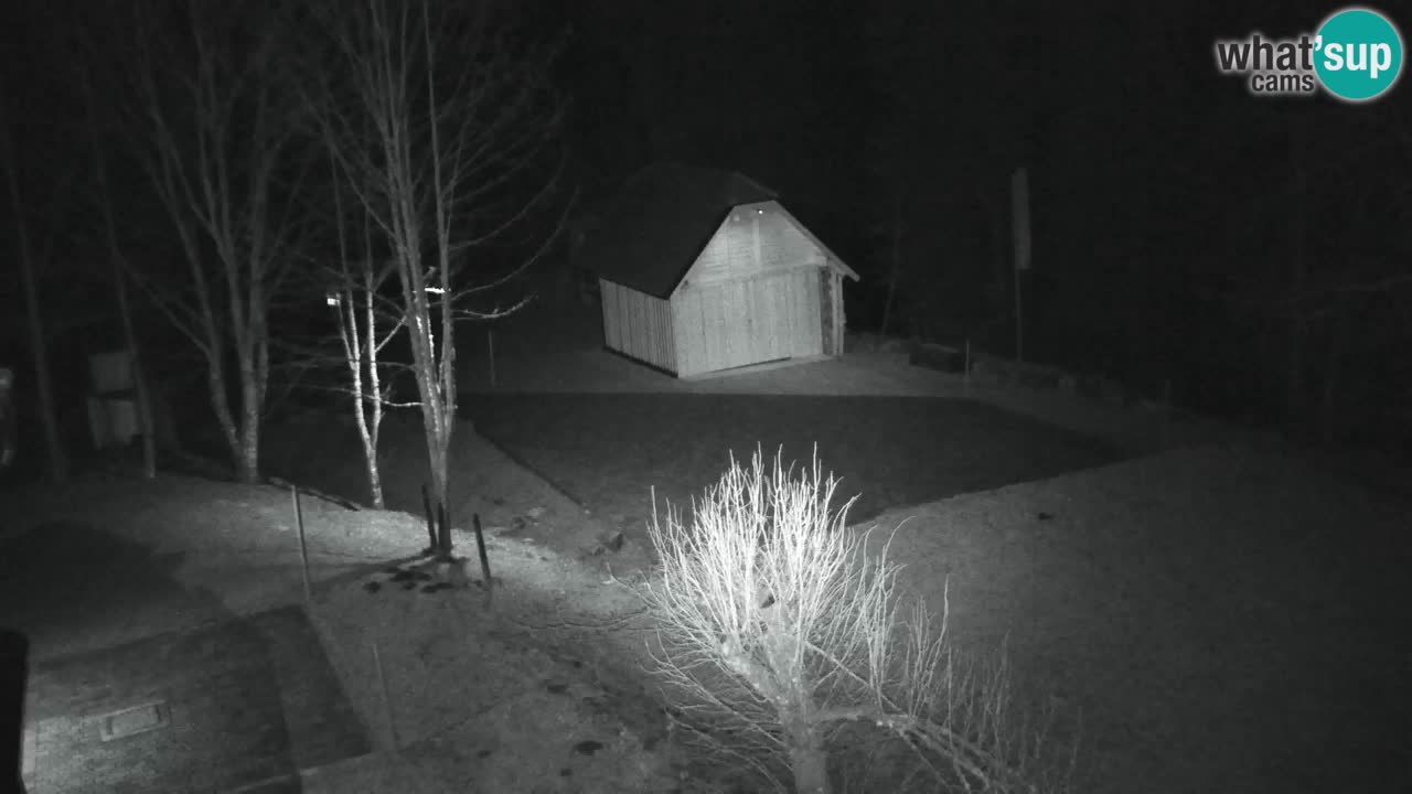 Webcam Lukanja – Water Village | Pohorje Houses