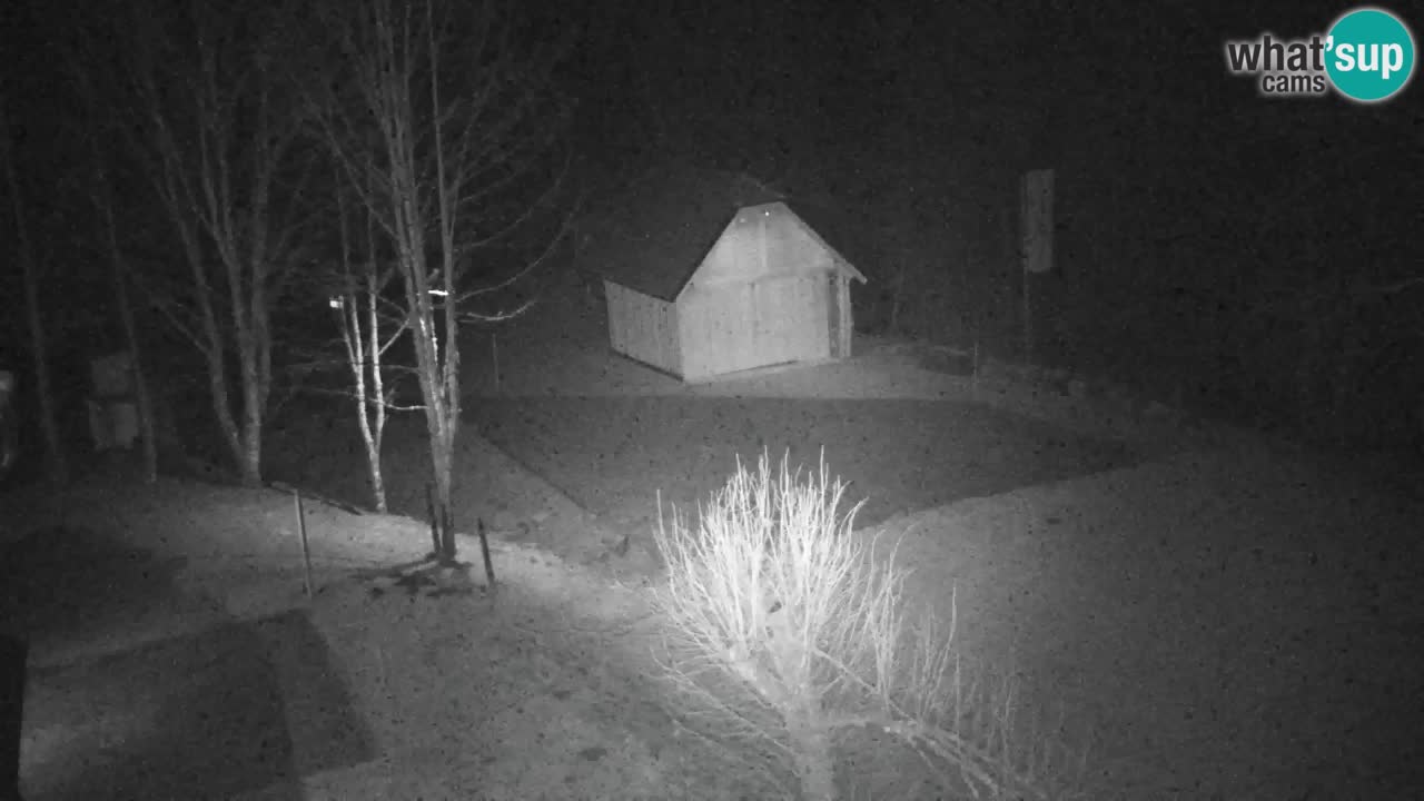 Webcam Lukanja – Water Village | Pohorje Houses