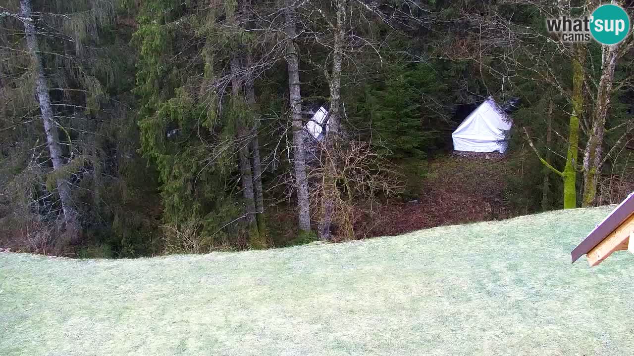 Webcam Lukanja – Pohorje houses a Water village