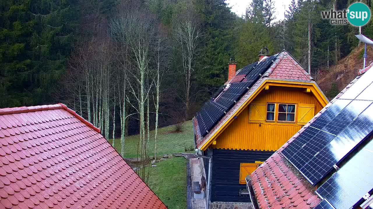 Spletna kamera Lukanja – Water Village | Pohorje Houses